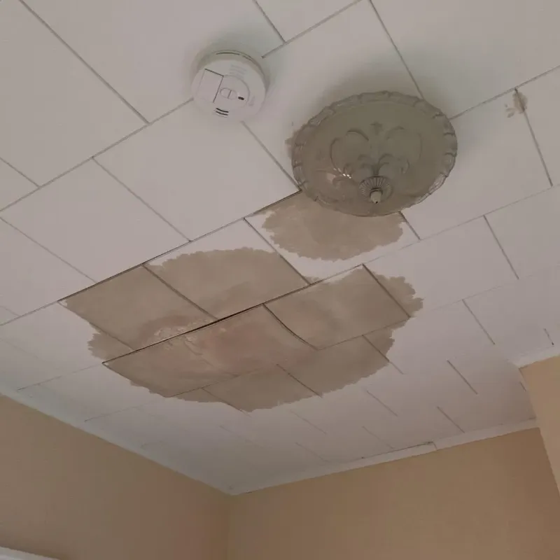 Ceiling Water Damage Repair in Kentland, IN